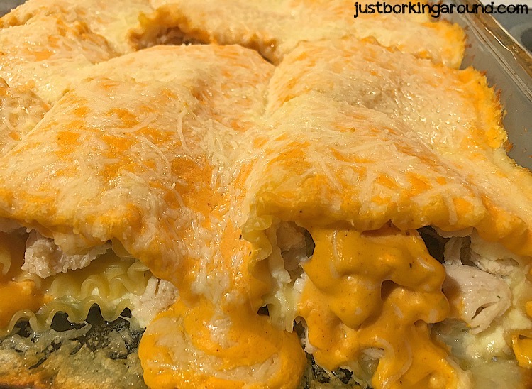 Buffalo Chicken Lasanga Roll Ups.jpg